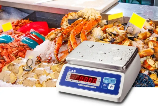 IP 68 Su Geçirmez CAS SWII-W Terazi: Islak Ortamlar İçin Güvenli ve Dayanıklı